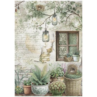 Herbarium Silvae Selection 6pk A4 - Stamperia