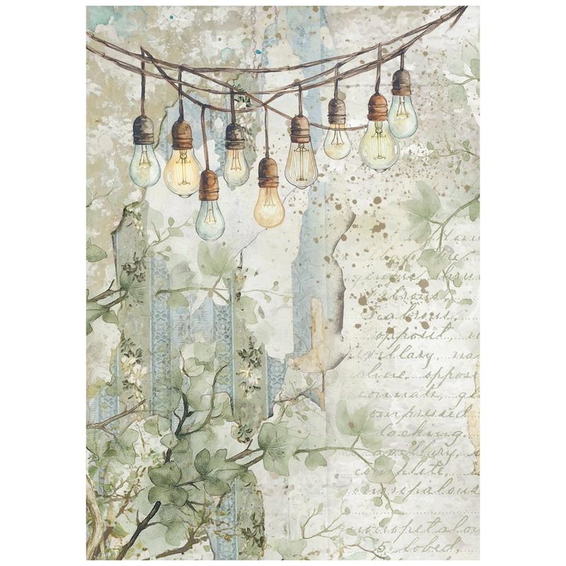 Herbarium Silvae Selection 8pk A6 - Stamperia