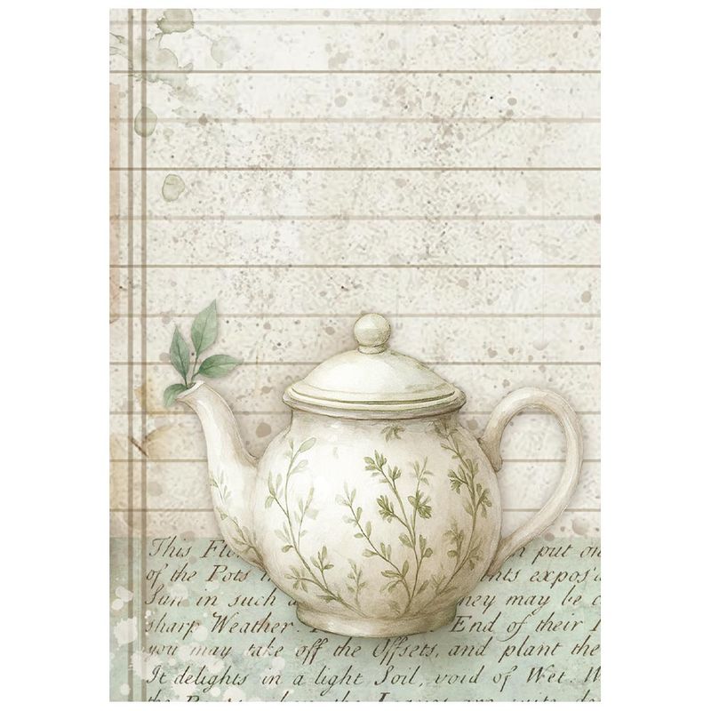 Herbarium Silvae Mini Selection 8pk A6 - Stamperia