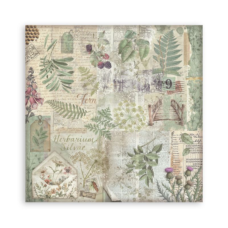 Herbarium Silvae Background 8x8 - Stamperia