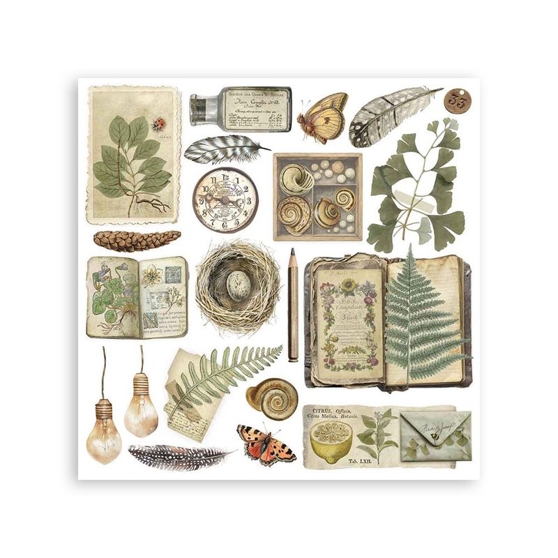 Herbarium Silvae - Stamperia Rub Ons