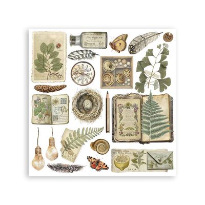 Herbarium Silvae - Stamperia Rub Ons