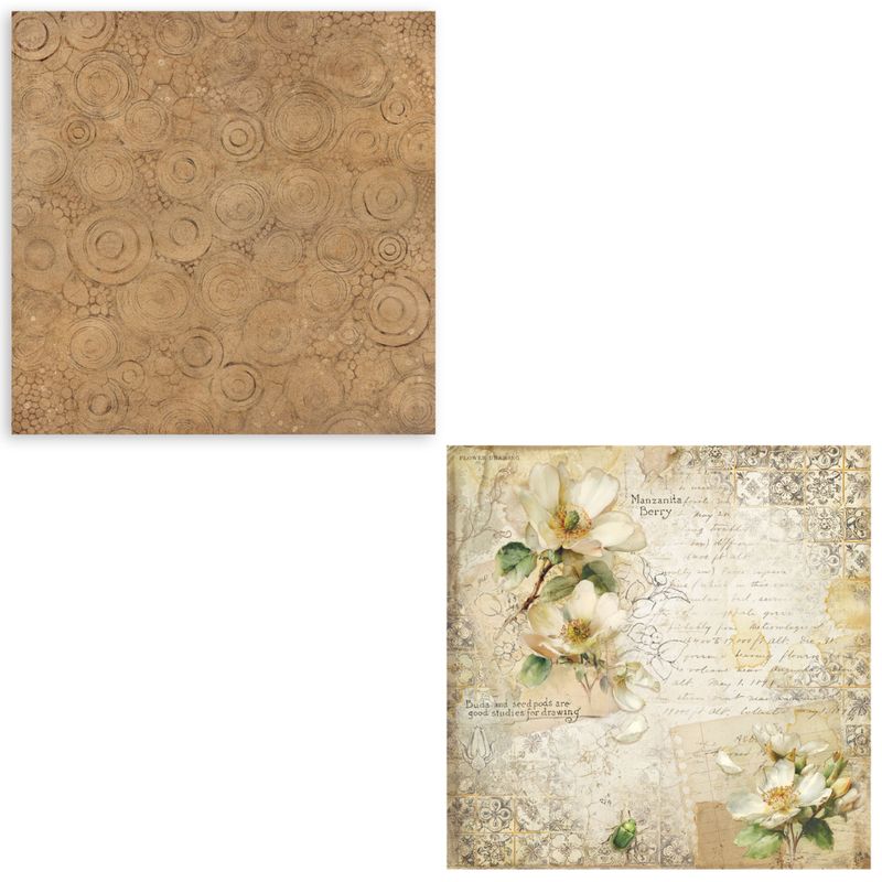 All Around XL 12x12 - Stamperia