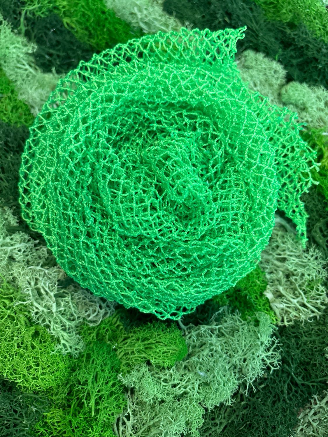 African Net Sponge Lime