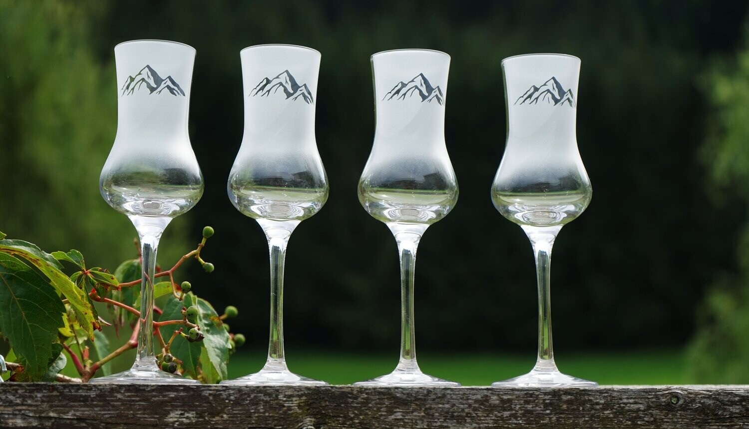 vierteiliges Schnapsset Berg