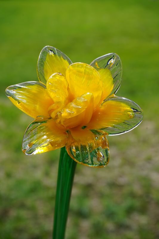 Glas-Blume gelb