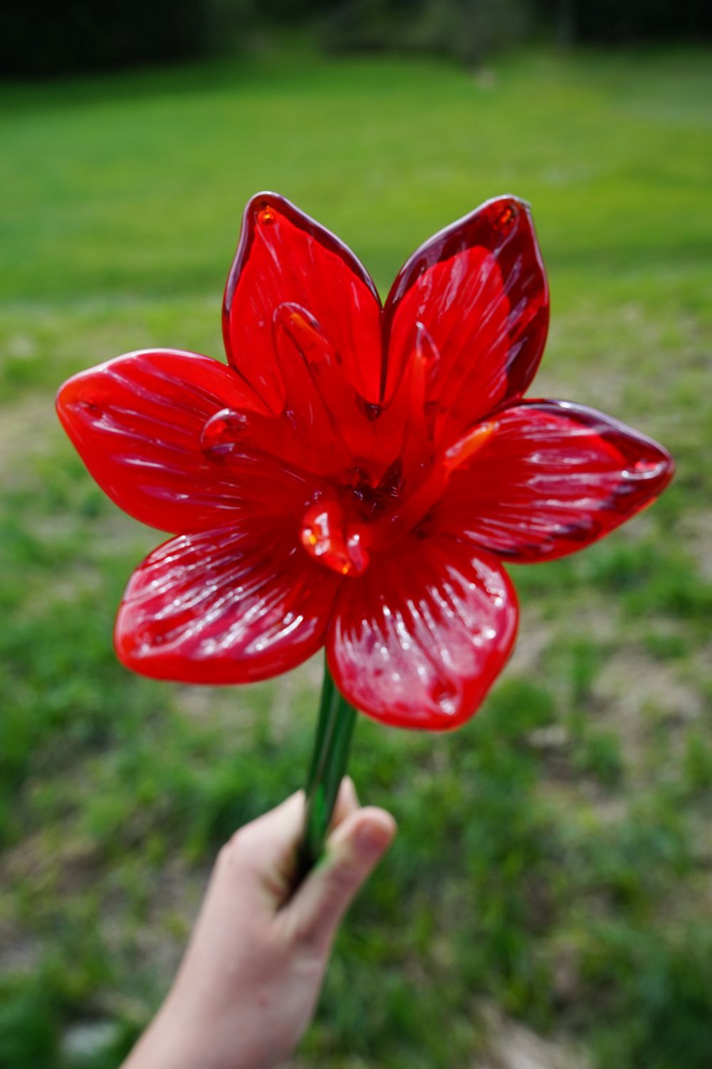 Glas Blume rot