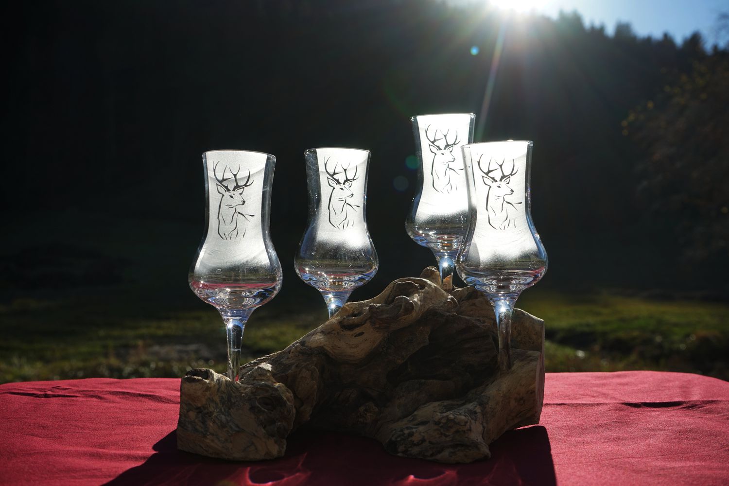 Wurzel mit vier Gläser