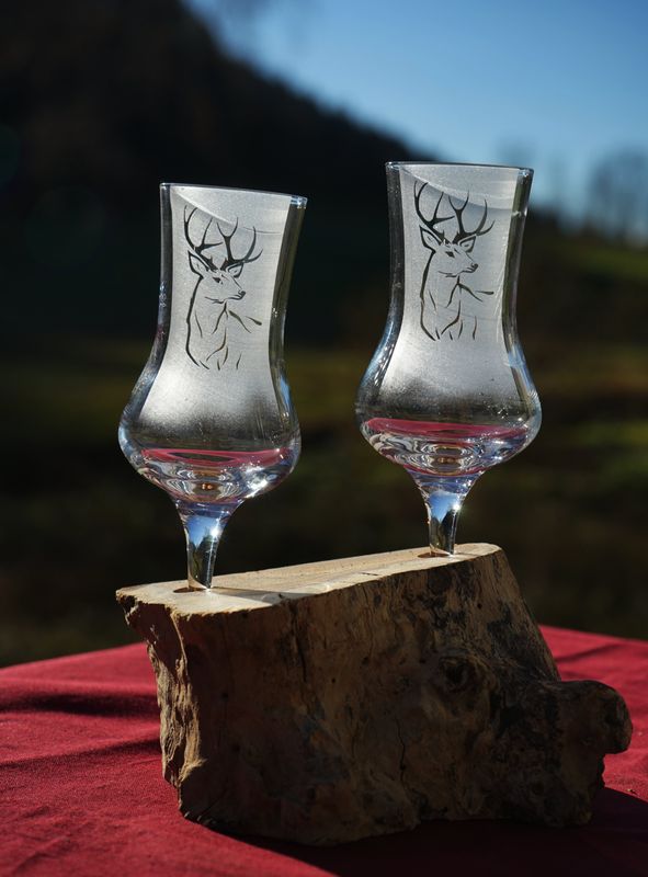 Wurzel mit zwei Gläser