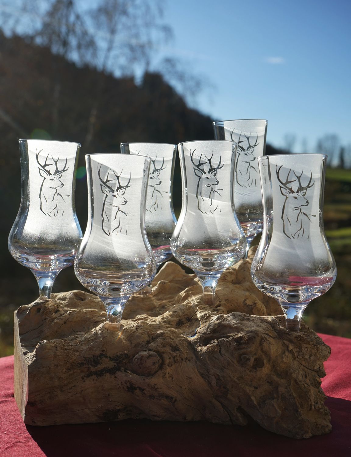 Wurzel mit sechs Gläser