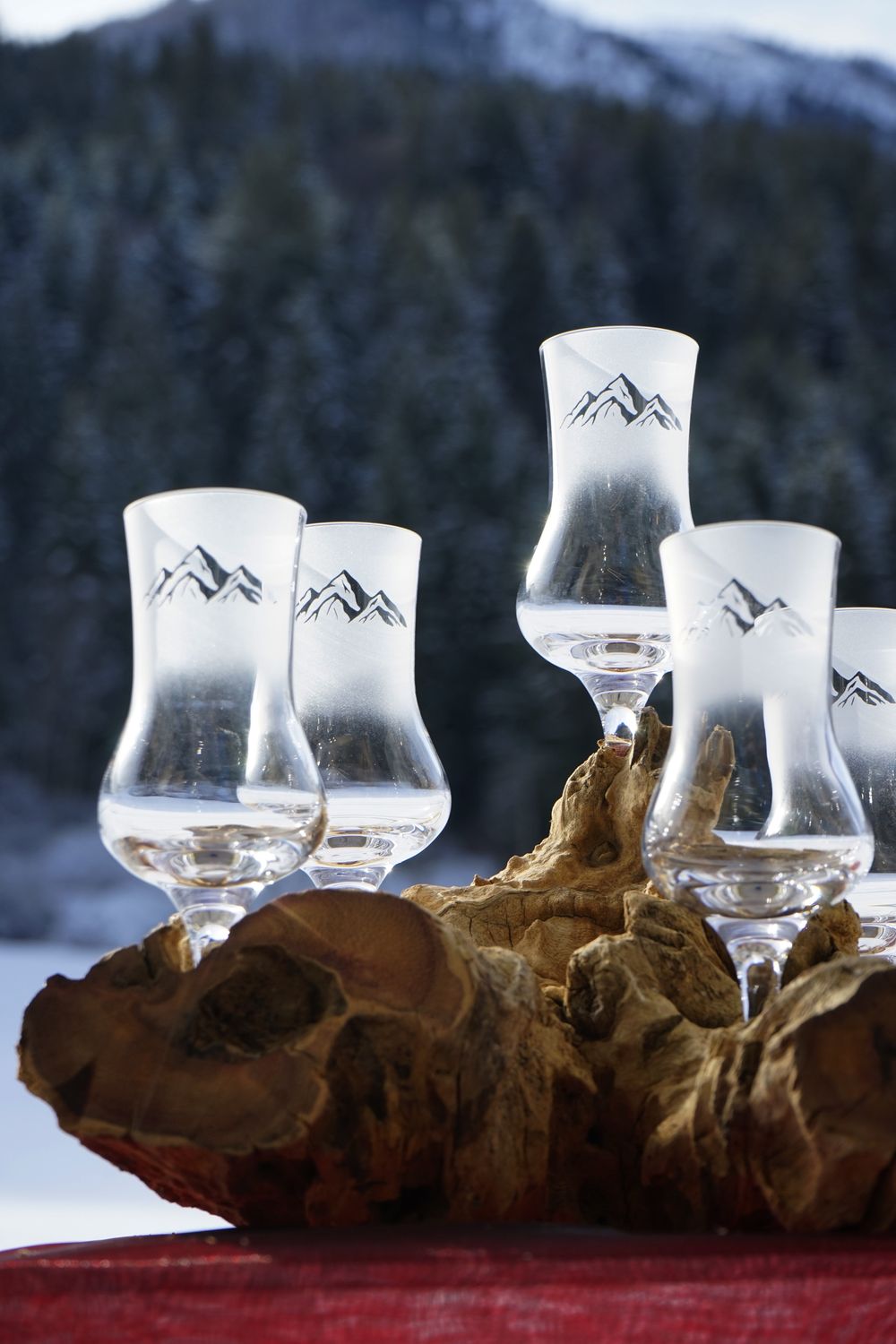 Wurzel mit sechs Gläsern