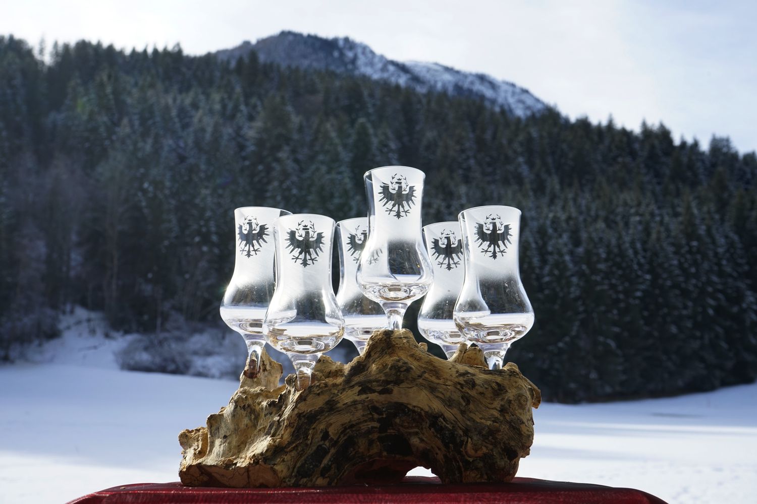 Wurzel mit sechs Gläsern