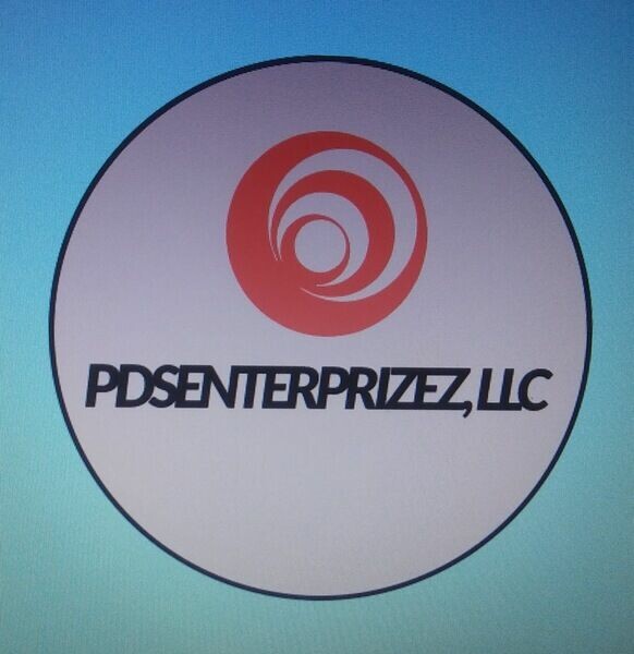 PDSENTERPRIZEZ LLC