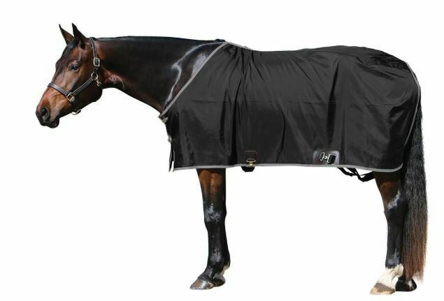 Big D Sheet