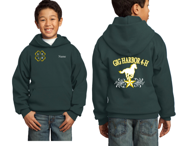 Youth Pullover Hooded Sweatshirt