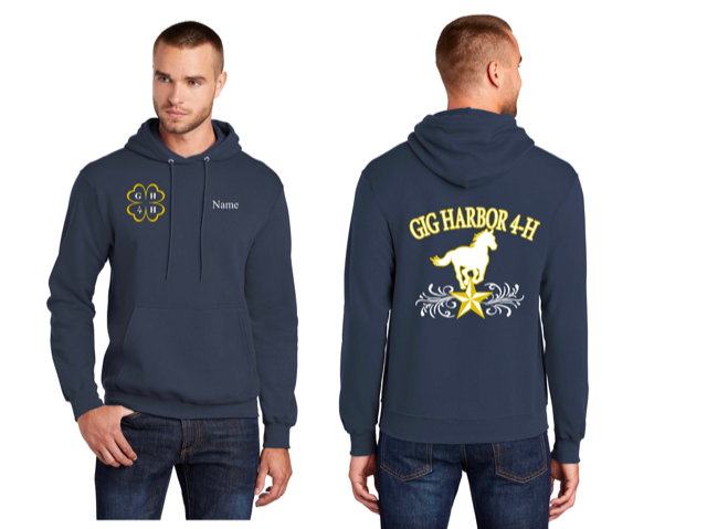 Mens Pullover Hooded Sweatshirt
