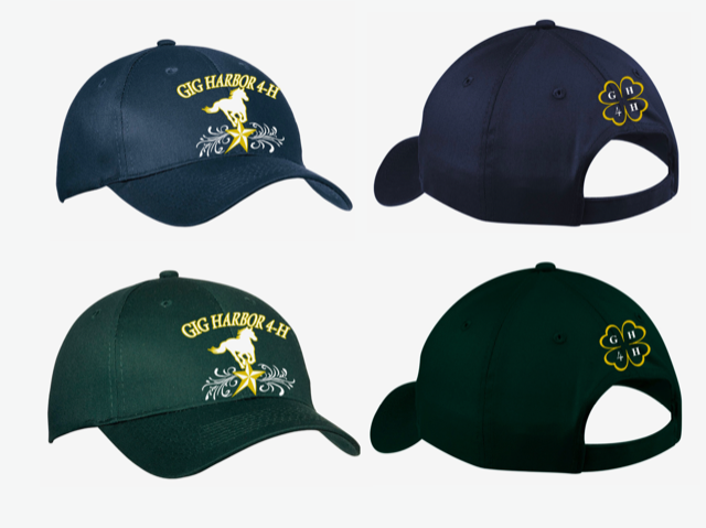 Six-Panel Twill Cap