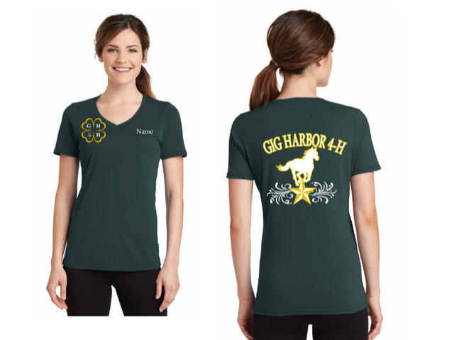 Ladies Performance Blend V-Neck Tee