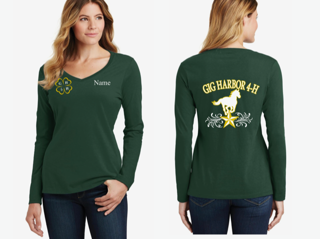 Ladies Long Sleeve T Shirt