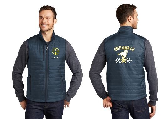 Mens Packable Puffy Vest
