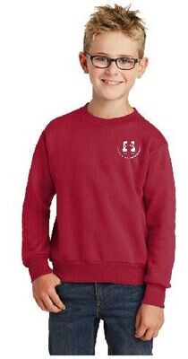 Kids Hooded Sweatshirt