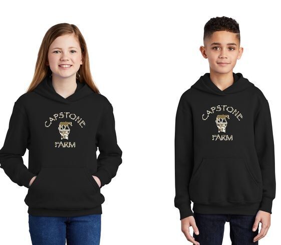 Youth Hooded Pullover