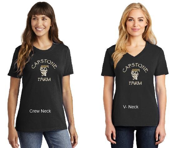 Ladies Tee Shirt