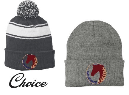 Beanie /  Knit Cap.