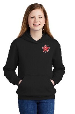 YOUTH Hooded Sweatshirt