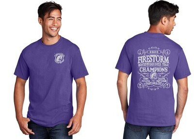 MENS CREW NECK T SHIRT