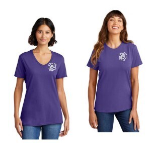 LADIES CREW OR VEE NECK T SHIRT