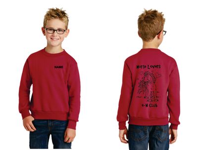 Youth Hooded Sweatshirt
