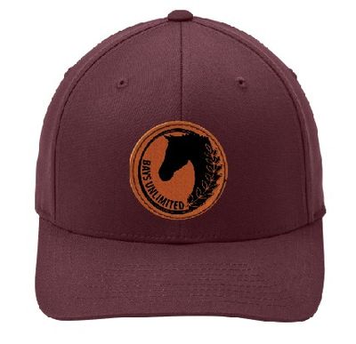 *NEW* Adult Flexfit Cap with Patch