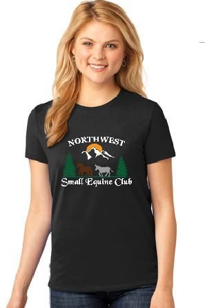 Ladies Cotton Tee