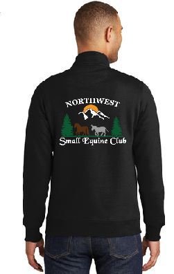 Fleece 1/4-Zip Pullover Sweatshirt