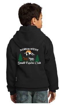 Youth Core Fleece Pullover Hooded Sweatshirt