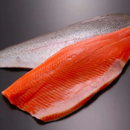 Salmon filtet