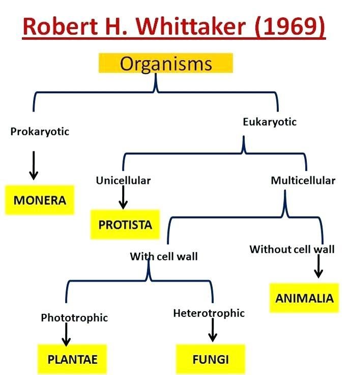 CLASS 11  Biological classification Diagrams for NEET/AIIMS/JIPMER.