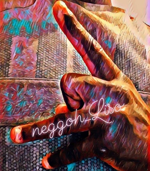 NeggohLiso Collection