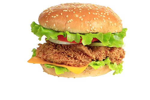Chicken Burger Cheese