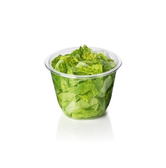 Salade Verte Petite