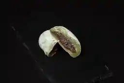 95.Mochi Yomogi
