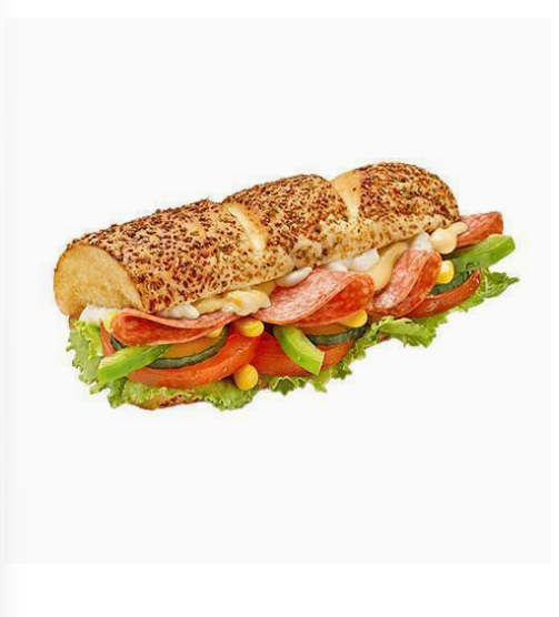 Salami SUB15