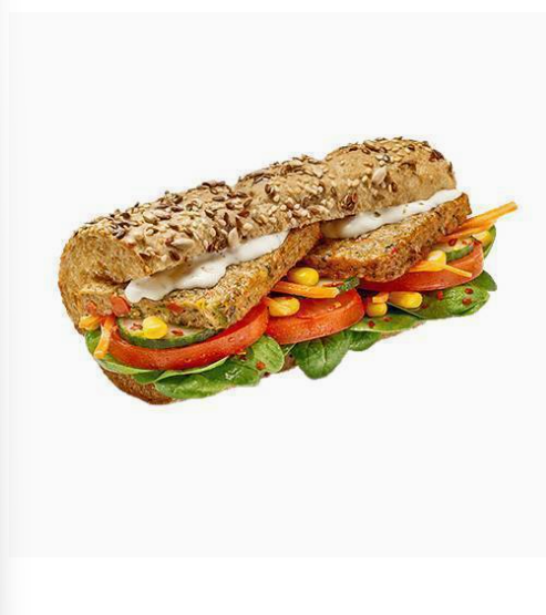 Galette de légumes Végan SUB15