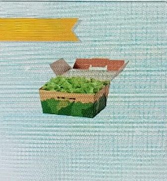 Petite Salade verte