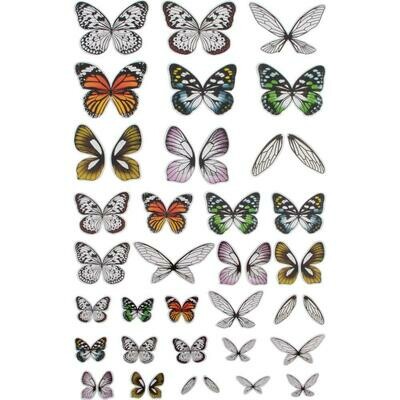 Tim Holtz Idea-ology Transparent Acetate Wings 72/Pkg