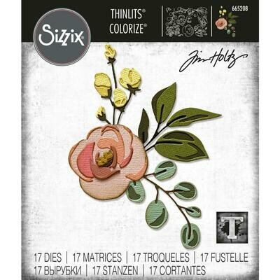 Tim Holtz Sizzix Thinlits Dies Colorise Bloom 17/pkg