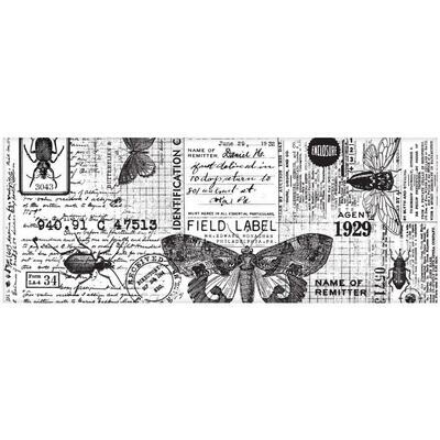 Tim Holtz Idea-ology Collage Paper Entomology