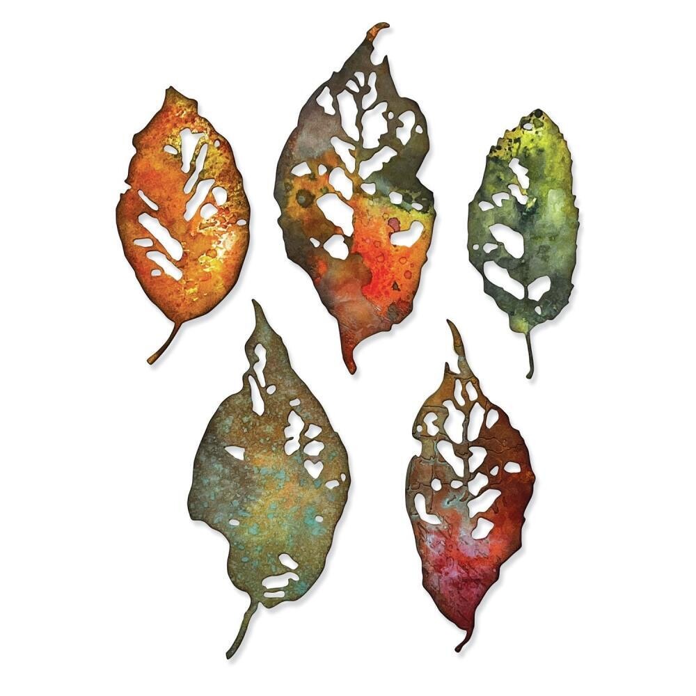 Tim Holtz Sizzix Thinlits Dies Leaf Fragments 5/pkg