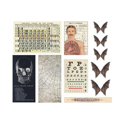 Tim Holtz Idea-ology Halloween 2022 Transparencies 11/pkg